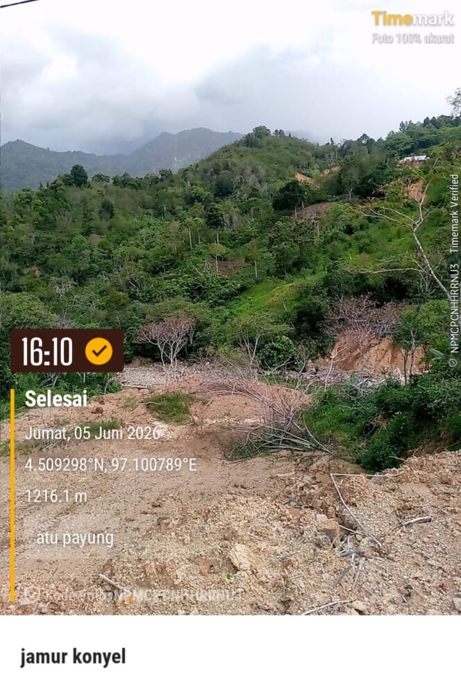 
					11 Ribu Hektar Kebun Kopi Gayo Hancur, Hampir 20 Ribu Petani Aceh Tengah Menunggu Bantuan