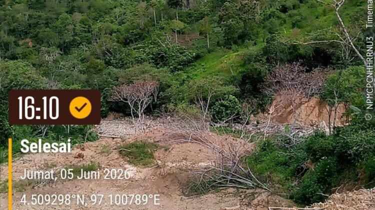 11 Ribu Hektar Kebun Kopi Gayo Hancur, Hampir 20 Ribu Petani Aceh Tengah Menunggu Bantuan