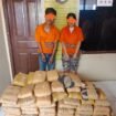 Kedua tersangka dengan barang bukti ganja diamankan, sementara salah seorang tersangka RHH dirawat di rumah sakit Tarutung.(harianpaparazzi.com/Humas Polres Taput)