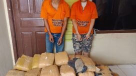 Kedua tersangka dengan barang bukti ganja diamankan, sementara salah seorang tersangka RHH dirawat di rumah sakit Tarutung.(harianpaparazzi.com/Humas Polres Taput)