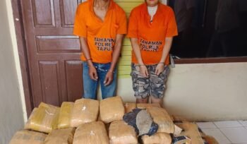 Kedua tersangka dengan barang bukti ganja diamankan, sementara salah seorang tersangka RHH dirawat di rumah sakit Tarutung.(harianpaparazzi.com/Humas Polres Taput)