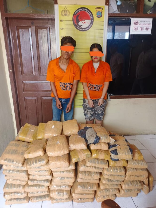 
					Kedua tersangka dengan barang bukti ganja diamankan, sementara salah seorang tersangka RHH dirawat di rumah sakit Tarutung.(harianpaparazzi.com/Humas Polres Taput)