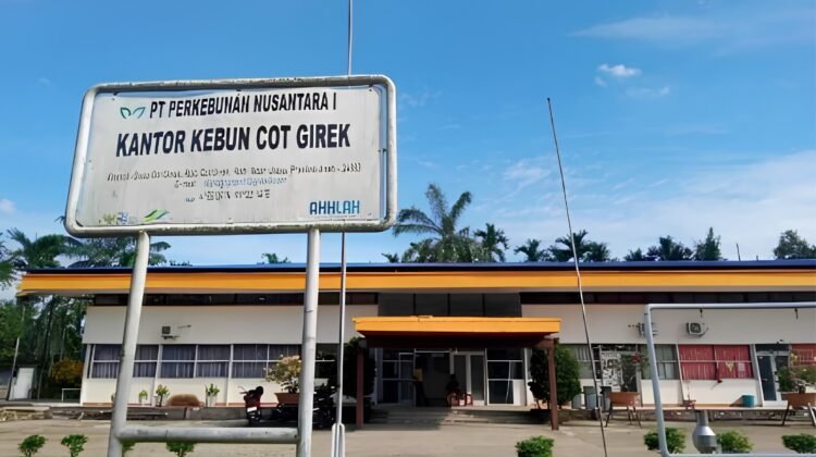 Konflik Cot Girek Memasuki Titik Kritis, Nasib 500 Pekerja dan Perpanjangan HGU Berkejaran dengan Waktu