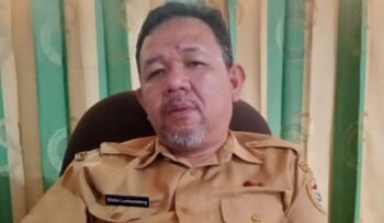 Kadis Penanaman Modal dan Pelayanan Perizinan Terpadu Satu Pintu Eliston Lumbantobing. (Harianpaparazzi.com)