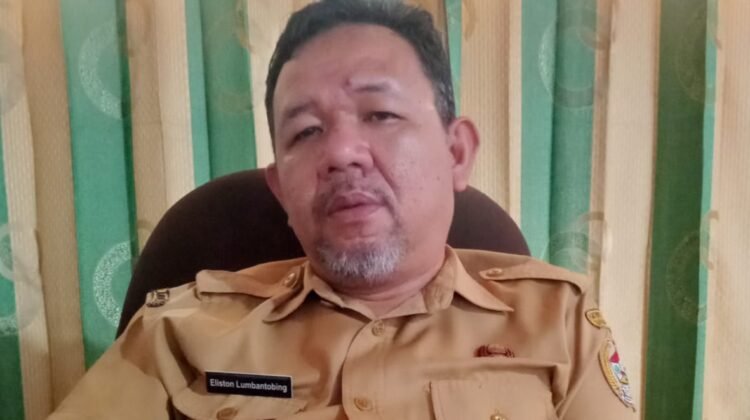 Kadis Penanaman Modal dan Pelayanan Perizinan Terpadu Satu Pintu Eliston Lumbantobing. (Harianpaparazzi.com)