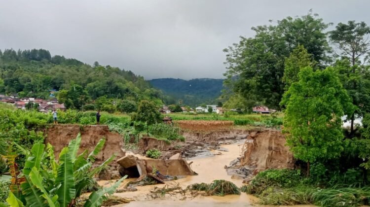 Tanggul sungai Sigeaon jebol Pasca bencana hidrometeorologi 2025 belum diperbaiki, sebagian lahan pertanian rusak belum diperbaiki. (dok)