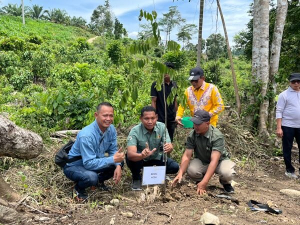 PHE NSO Mengembalikan Jalan Pulang Gajah Melalui Restorasi Lahan Kritis di Aceh Utara
