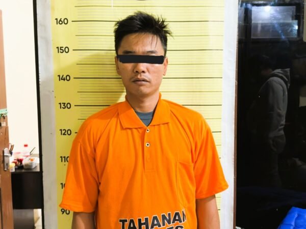 FSP alias M ditangkap oleh Satnarkoba Polres Taput. (Humas Polres Taput)